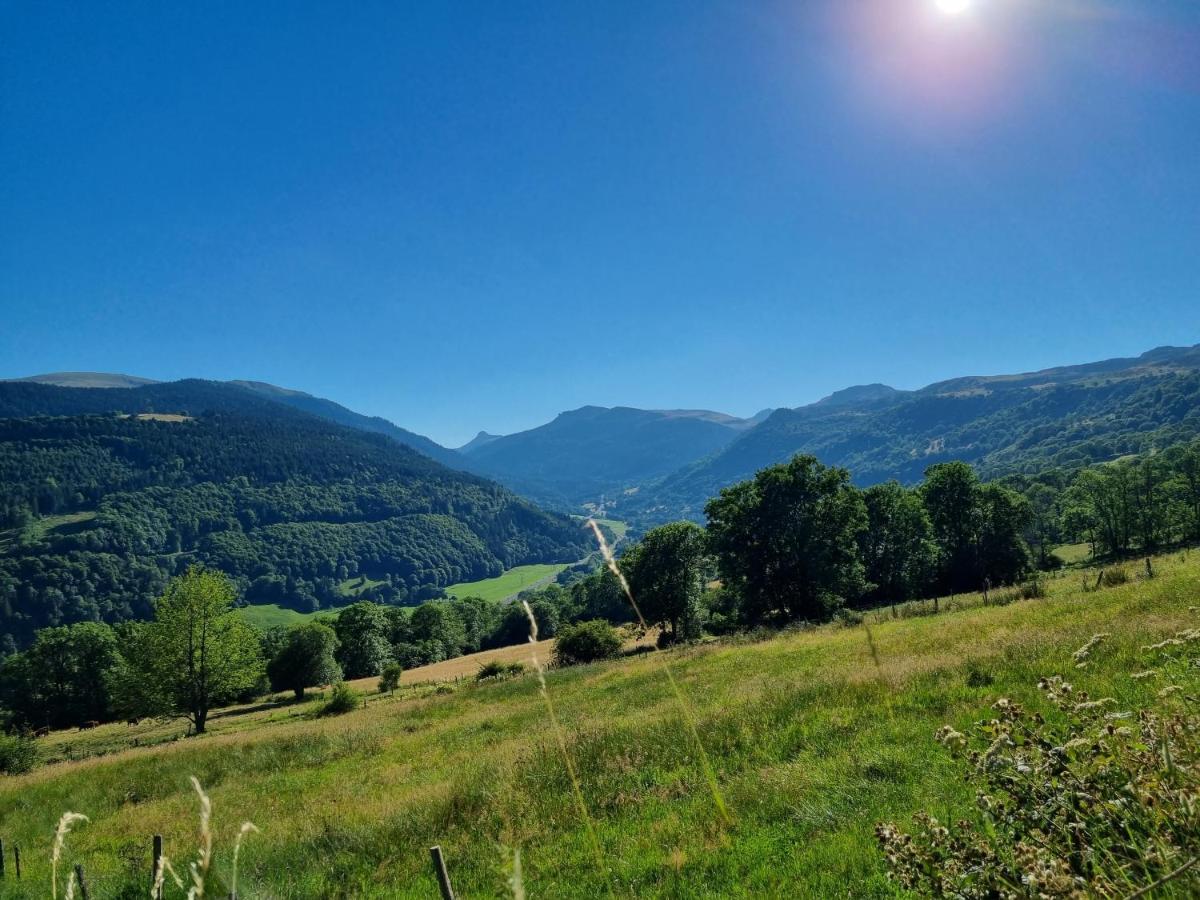 Au Coeur Du Volcantal