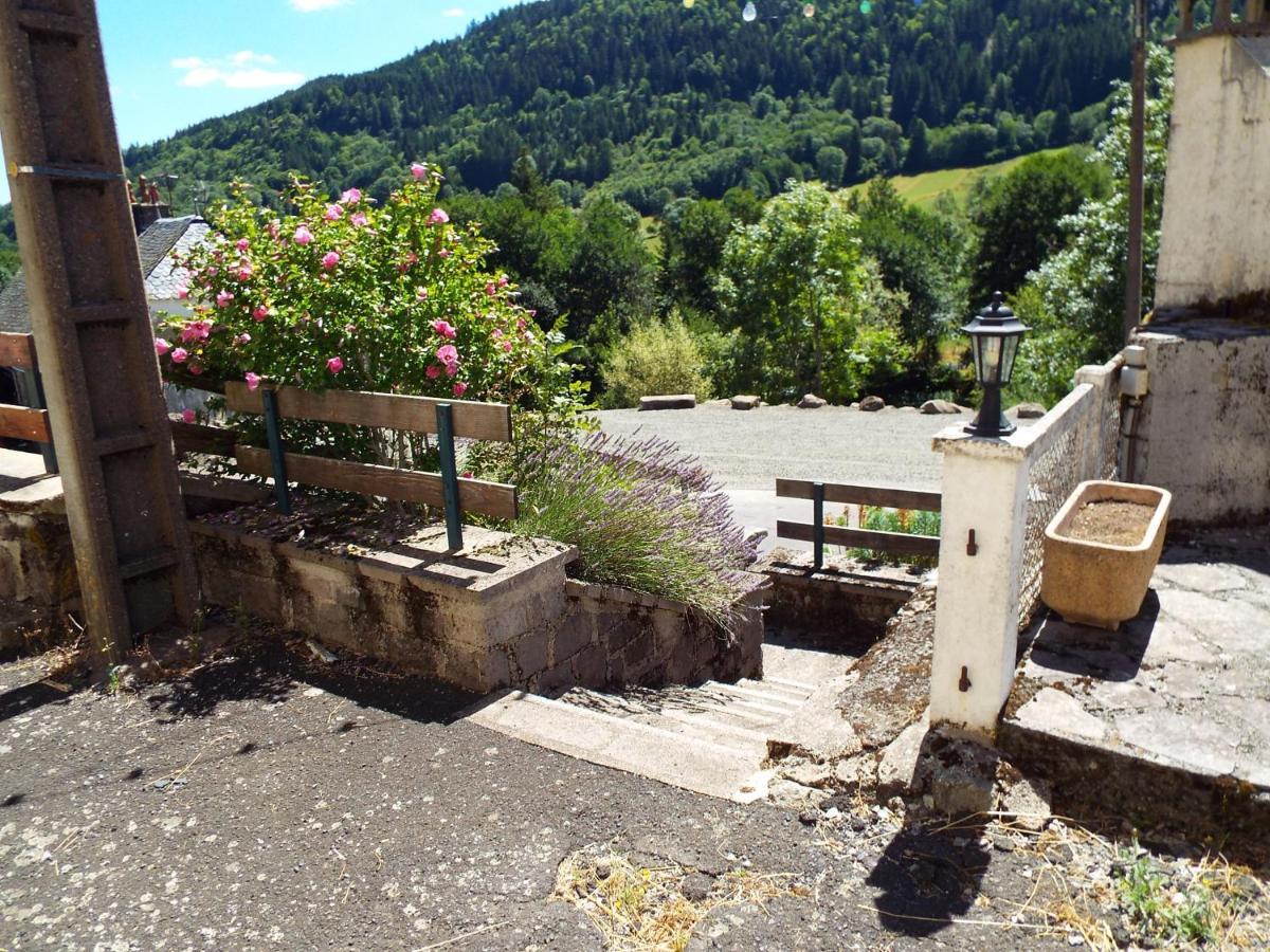 Au Coeur Du Volcantal Guest house