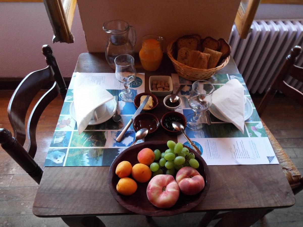 Au Coeur Du Volcantal Guest house *